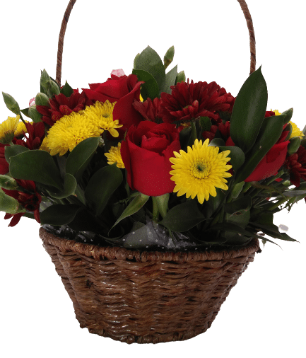 Jungle romance - Image 4